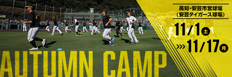 阪神タイガース秋季キャンプ特集2025