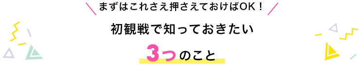 初観戦で知っておきたい3つのこと